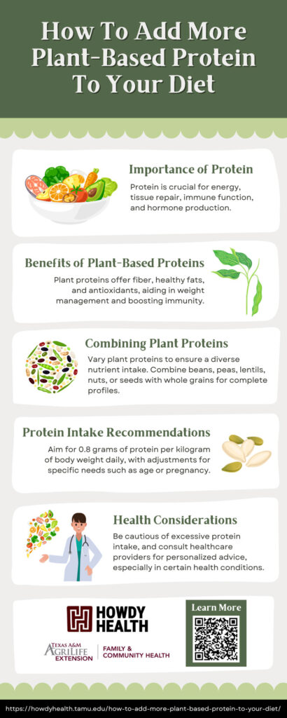 How to Add More Plant-Based Protein to Your Diet - Infographic
