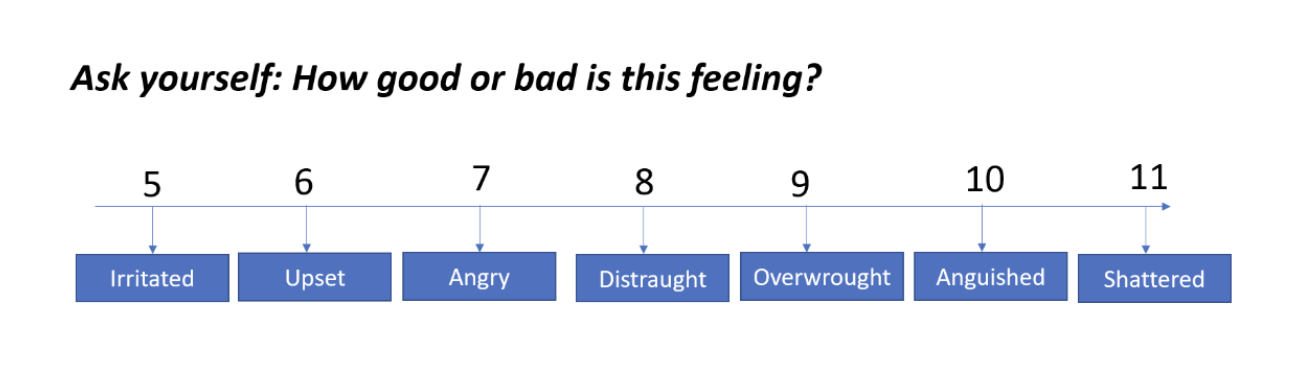 building-resilience-scale