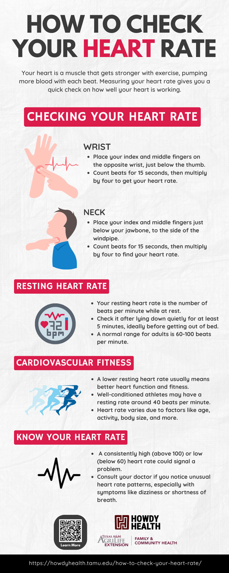 How To Check Your Heart Rate Howdy Health